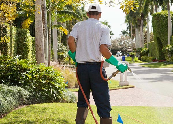 About Ellenwood GA Pest Control Pros